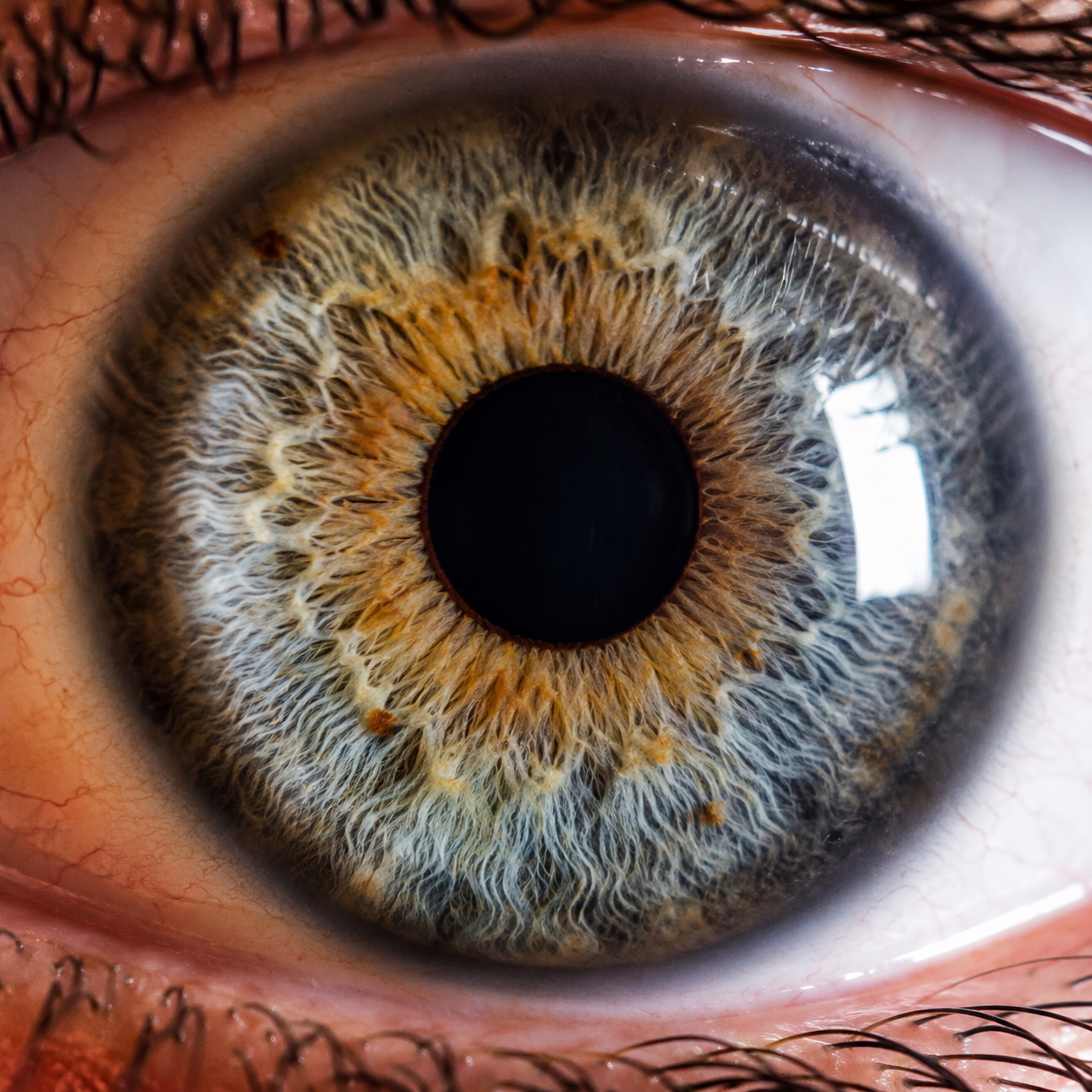 Optometrist speaking with patient